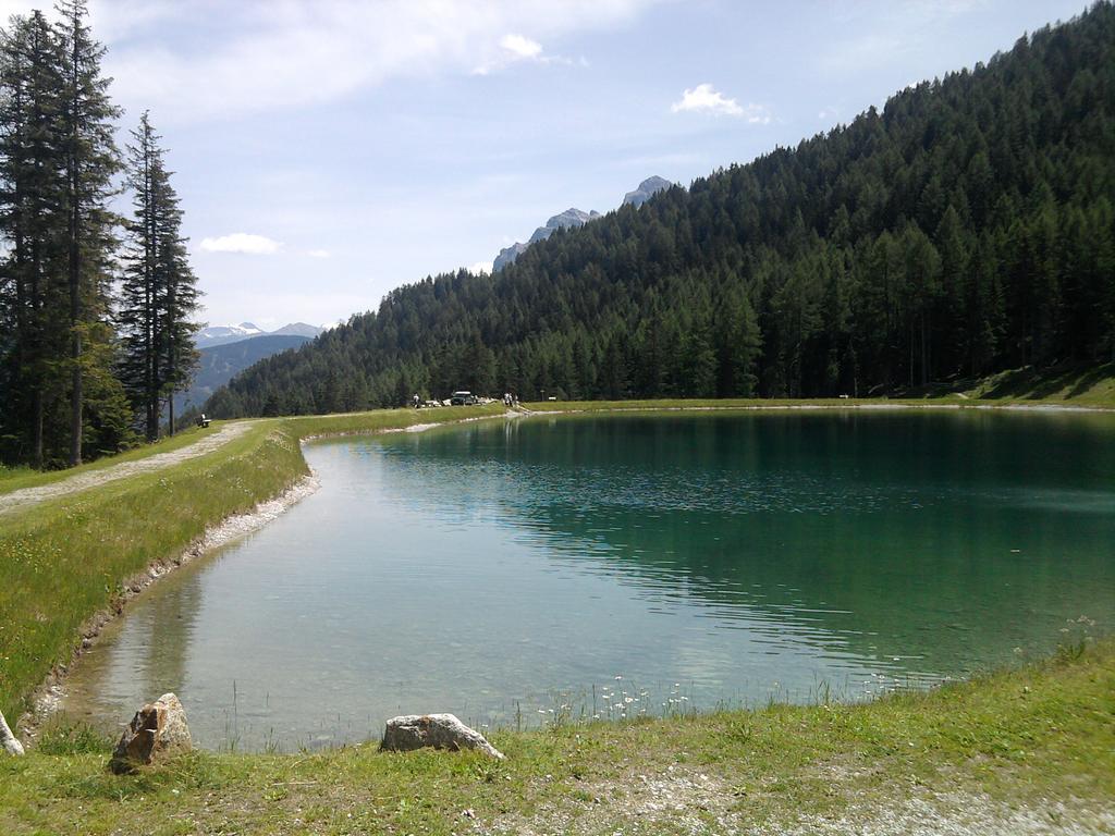 Hotel Almhof Neustift im Stubaital Εξωτερικό φωτογραφία