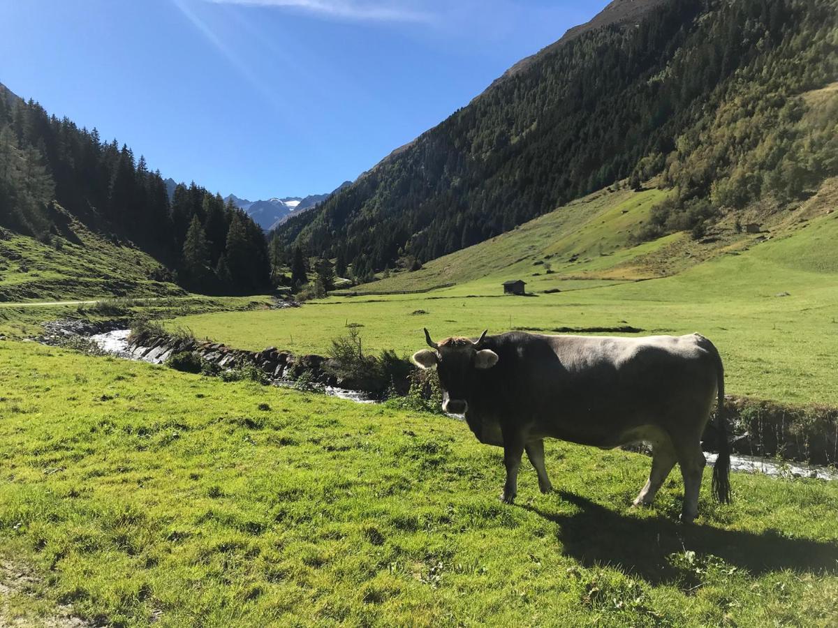 Hotel Almhof Neustift im Stubaital Εξωτερικό φωτογραφία